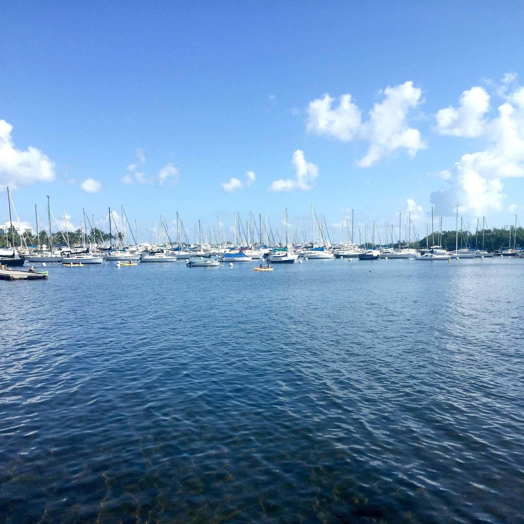 Pelicanstay In Coconut Grove Miami Coral Gables Exterior foto